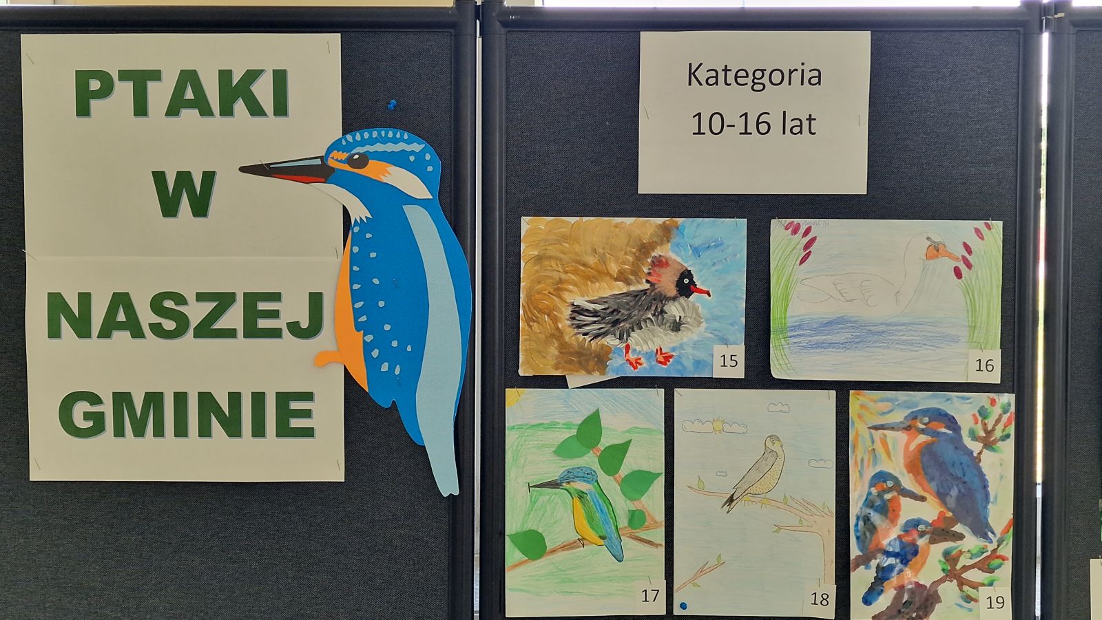 Kołbaskowo. „Ptaki w naszej gminie” – kto wygrał konkurs?