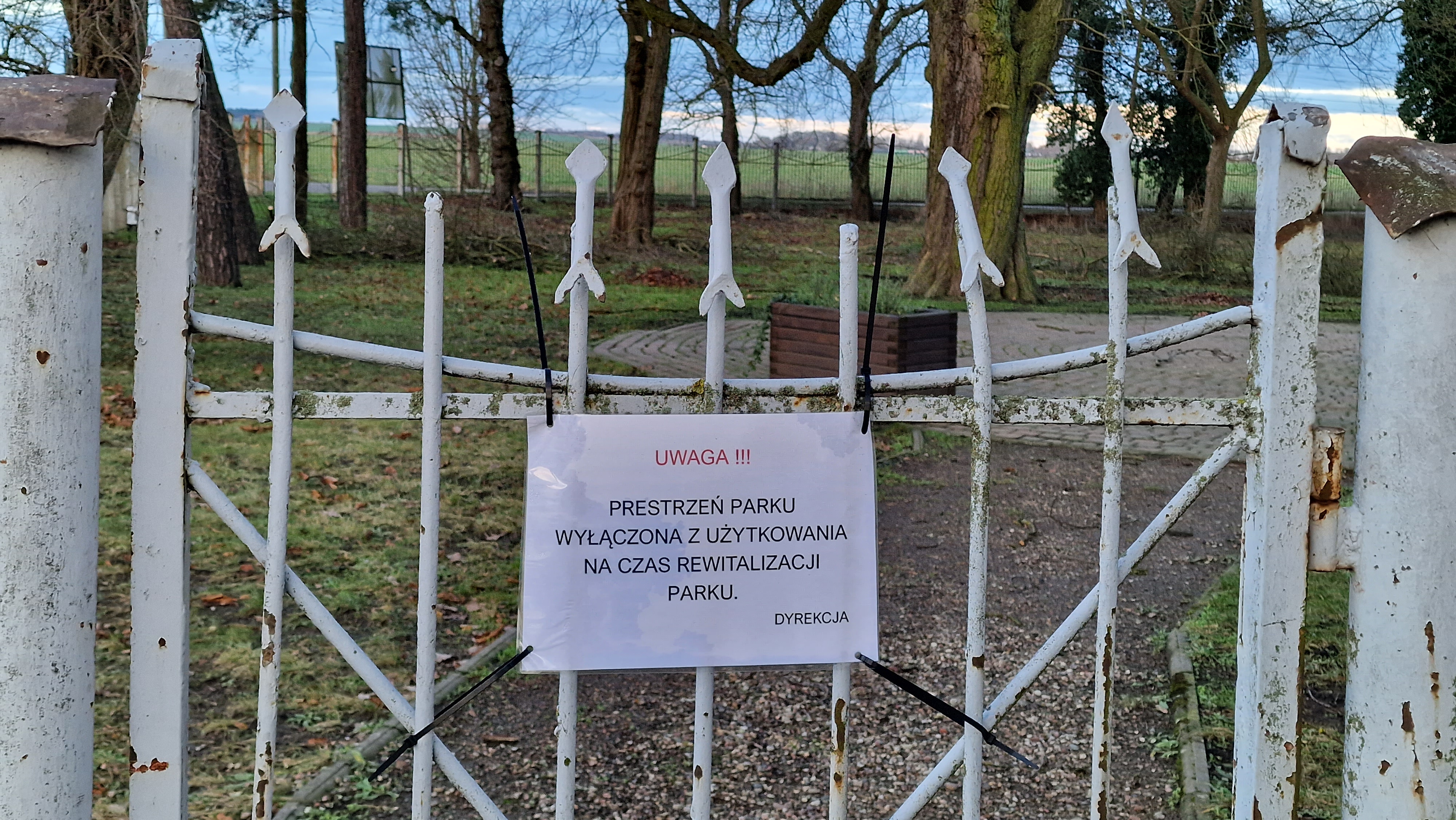 Pałac Ostoja: Ruszyły prace nad rewitalizacją parku dworskiego