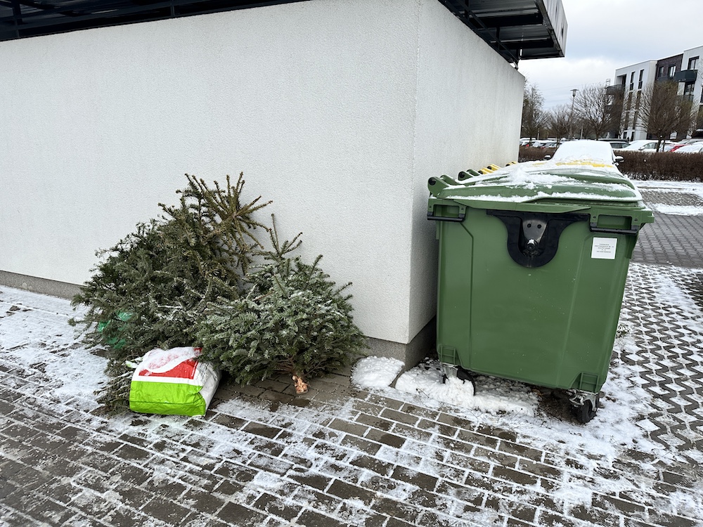 Wyrzuć starą na śmietnik... choinkę