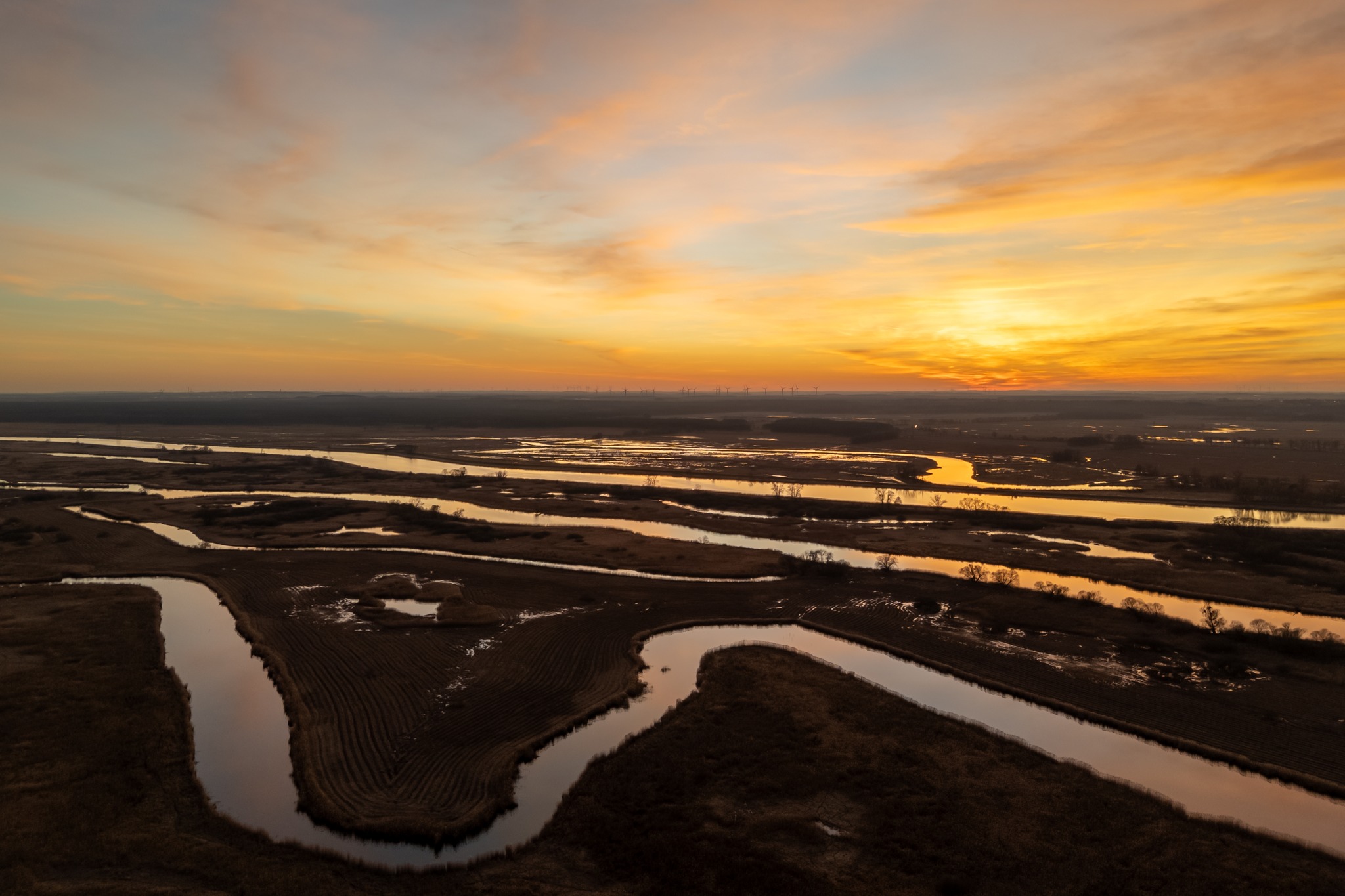 Wszystkie polskie parki narodowe wspierają utworzenie Parku Doliny Dolnej Odry