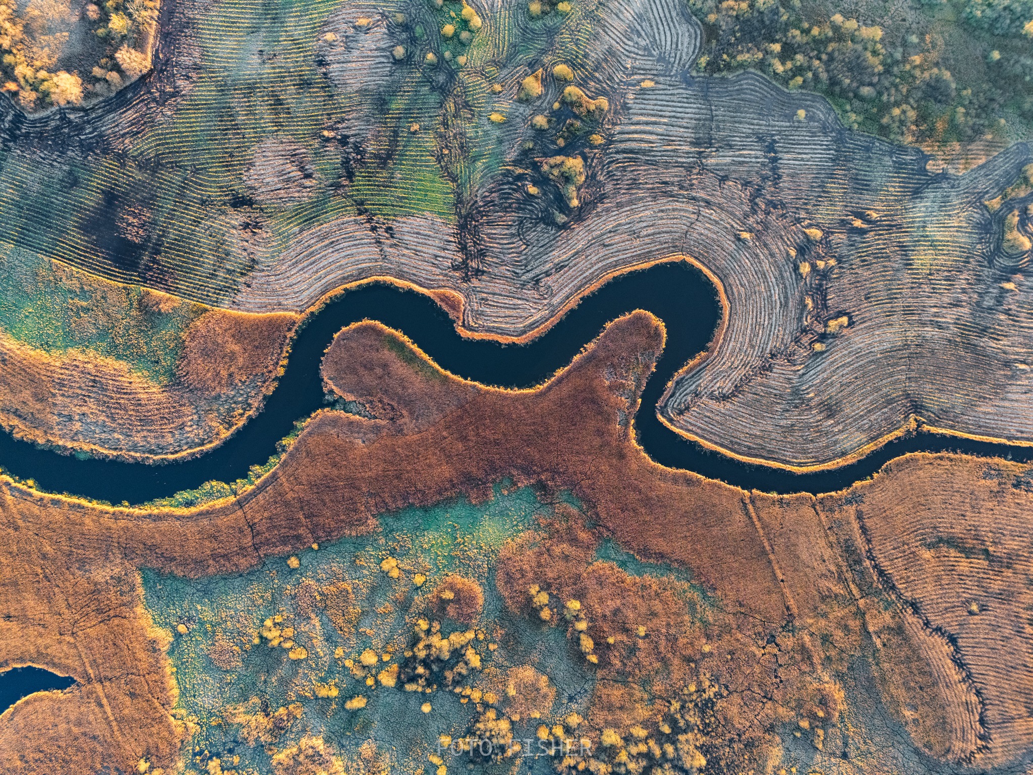 „Ocalić bezcenne” - seminarium o przyszłym Parku Narodowym Doliny Dolnej Odry
