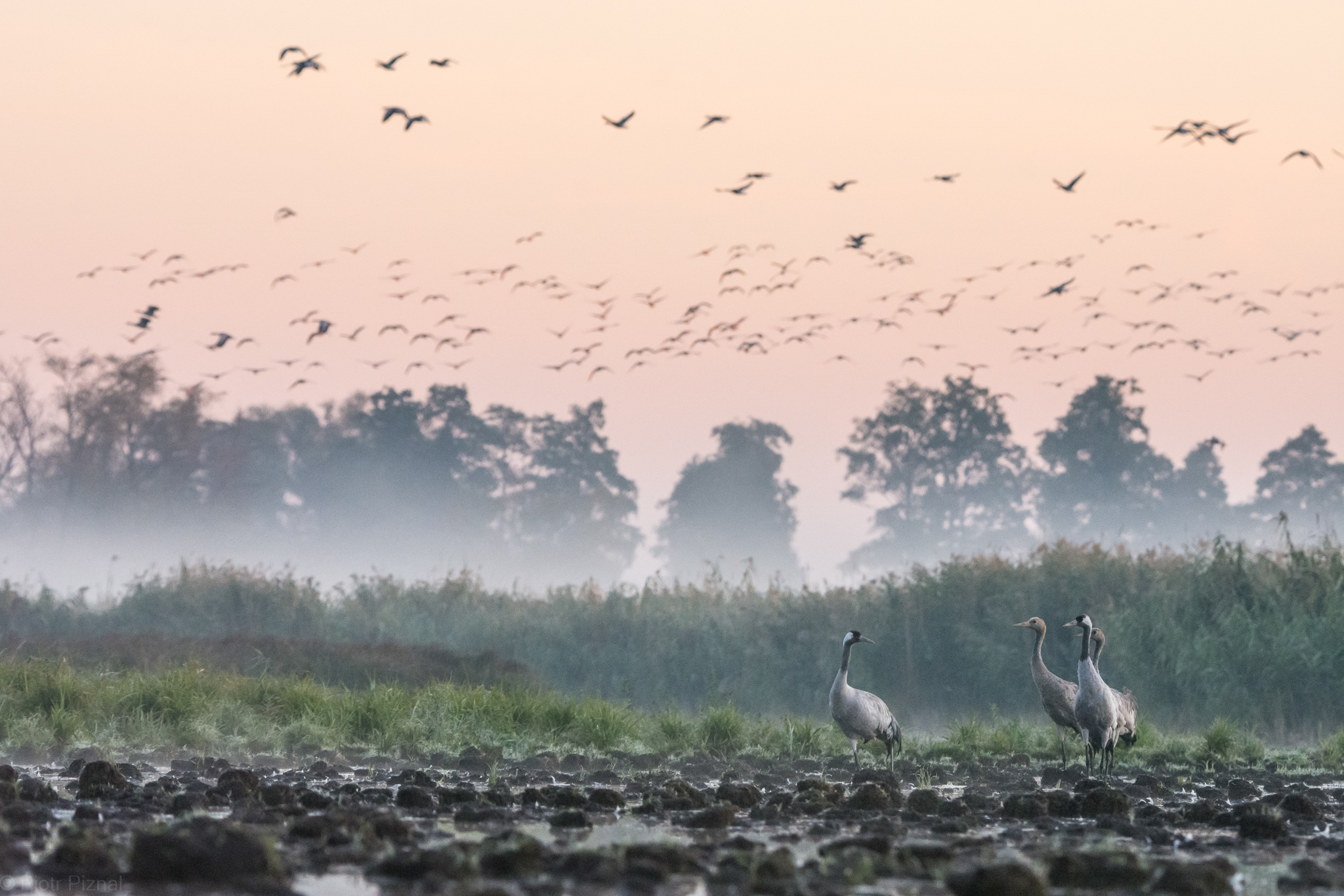 List otwarty do prezydenta. Dlaczego park narodowy jest potrzebny