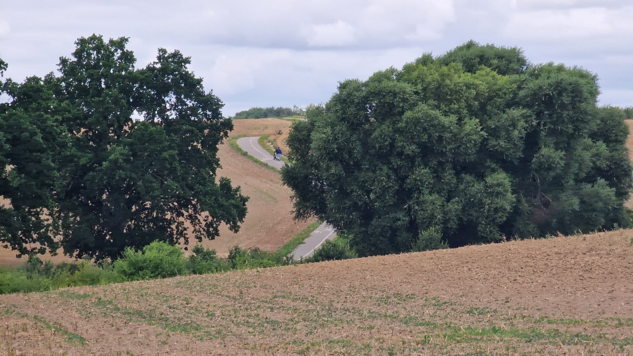 Gdzie pójść na spacer w gminie Kołbaskowo? Nasze propozycje