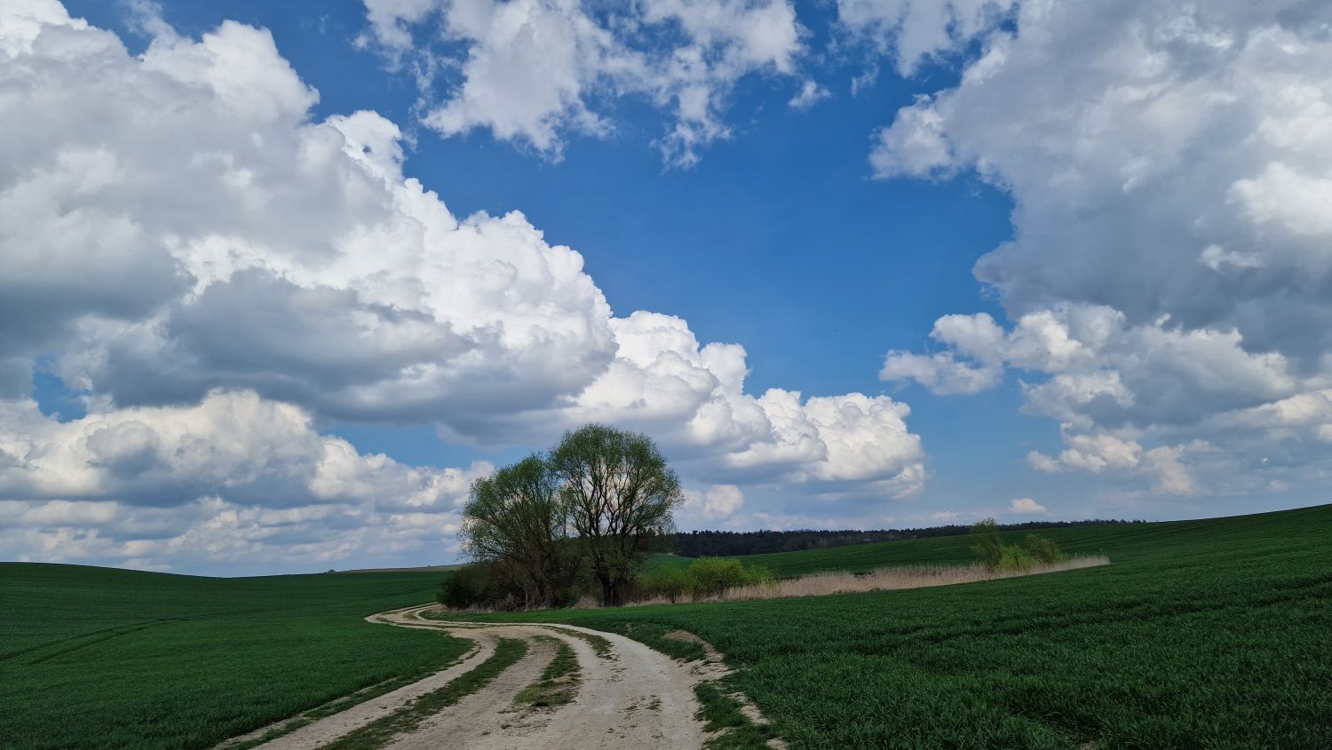 Pogoda. Jak może wyglądać reszta wakacji? Nie najlepiej