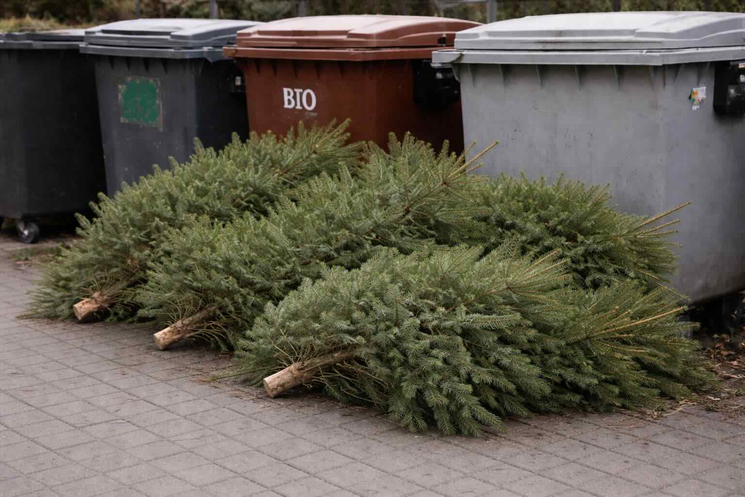 Co zrobić z choinką po świętach w Nowym Roku?