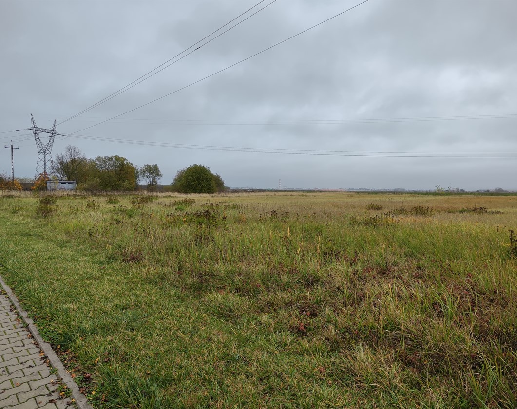 Masz w portfelu 38 milionów? Możesz kupić atrakcyjną działkę w Przecławiu