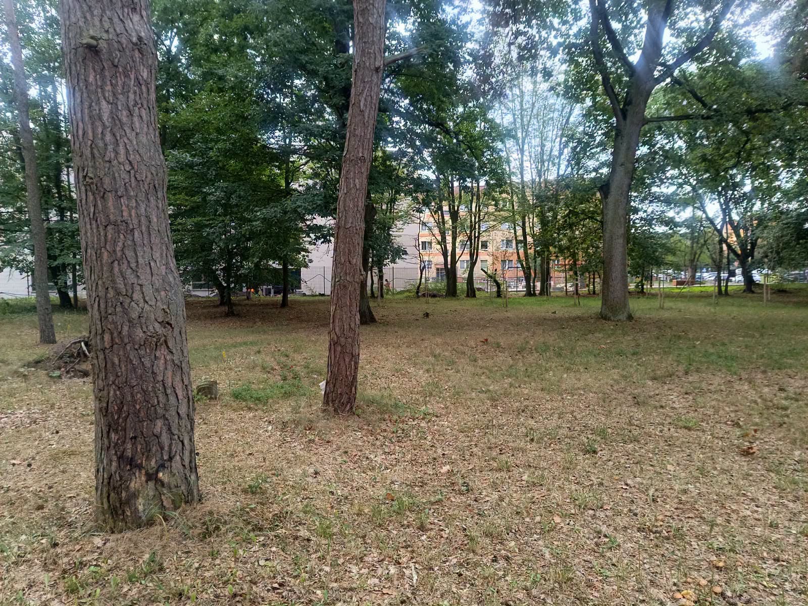Szukasz działki pod dom lub biznes? Sprawdź ofertę Powiatu Polickiego