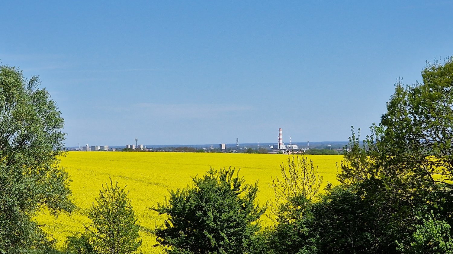 Z kapryśnej wiosny do letniego ciepła – co nas czeka w pogodzie?