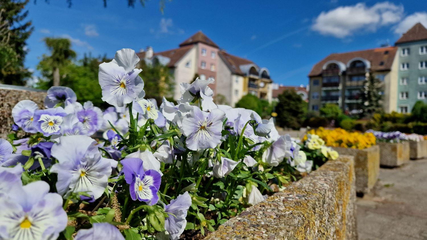 Pogoda: Czerwiec zacznie się ciepło, ale aura będzie kapryśna