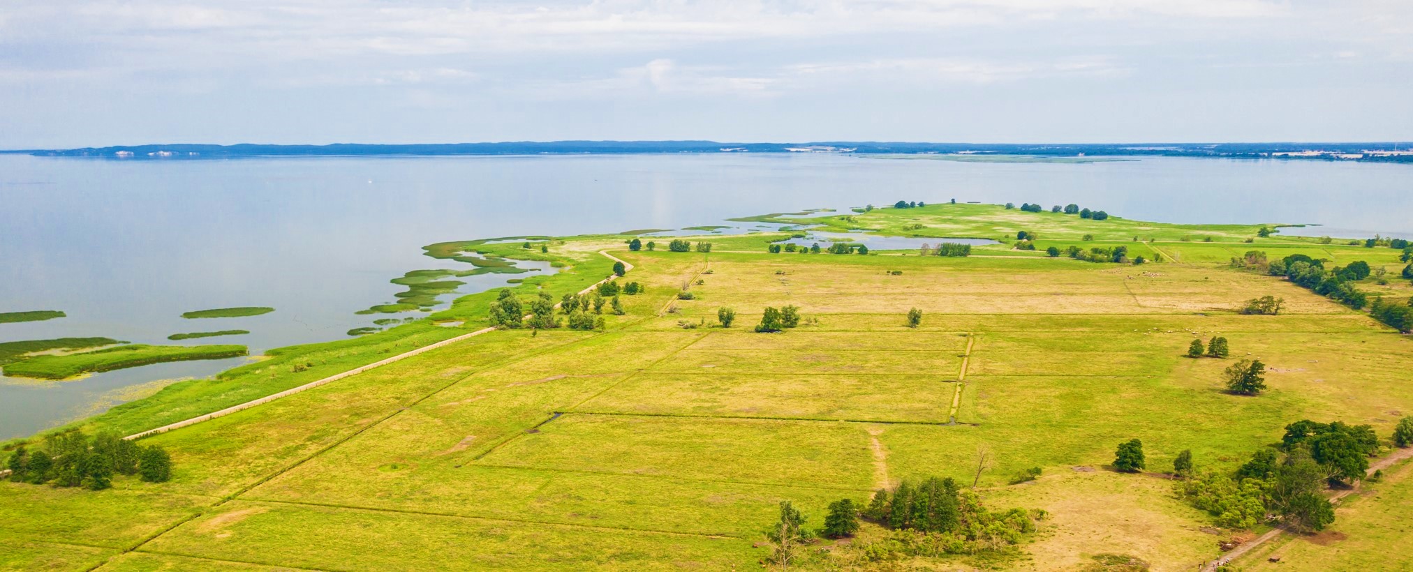 Nowy park narodowy w regionie? Królestwo bielików i naturalnych kosiarek