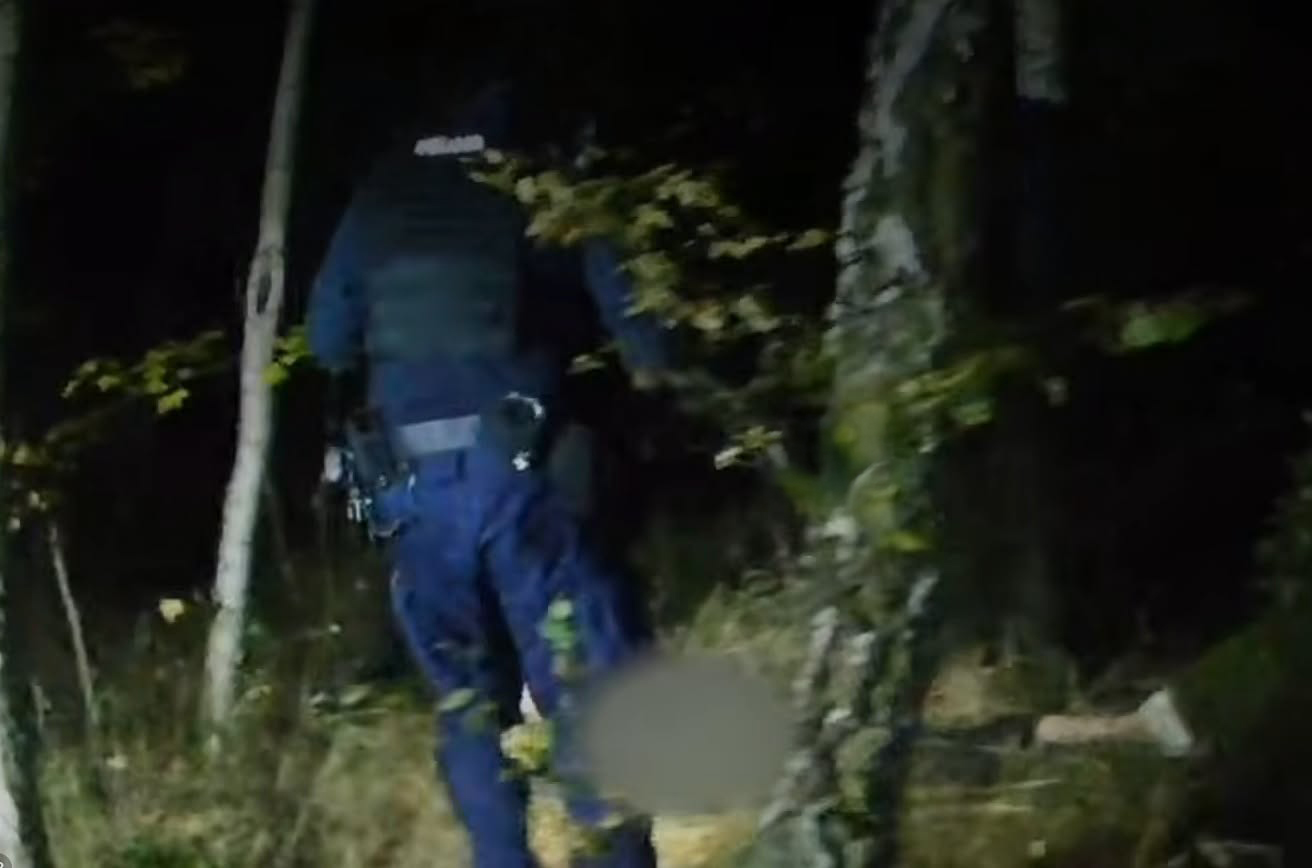 Uderzył w barierki i uciekł do lasu. Znalazł go policyjny pies
