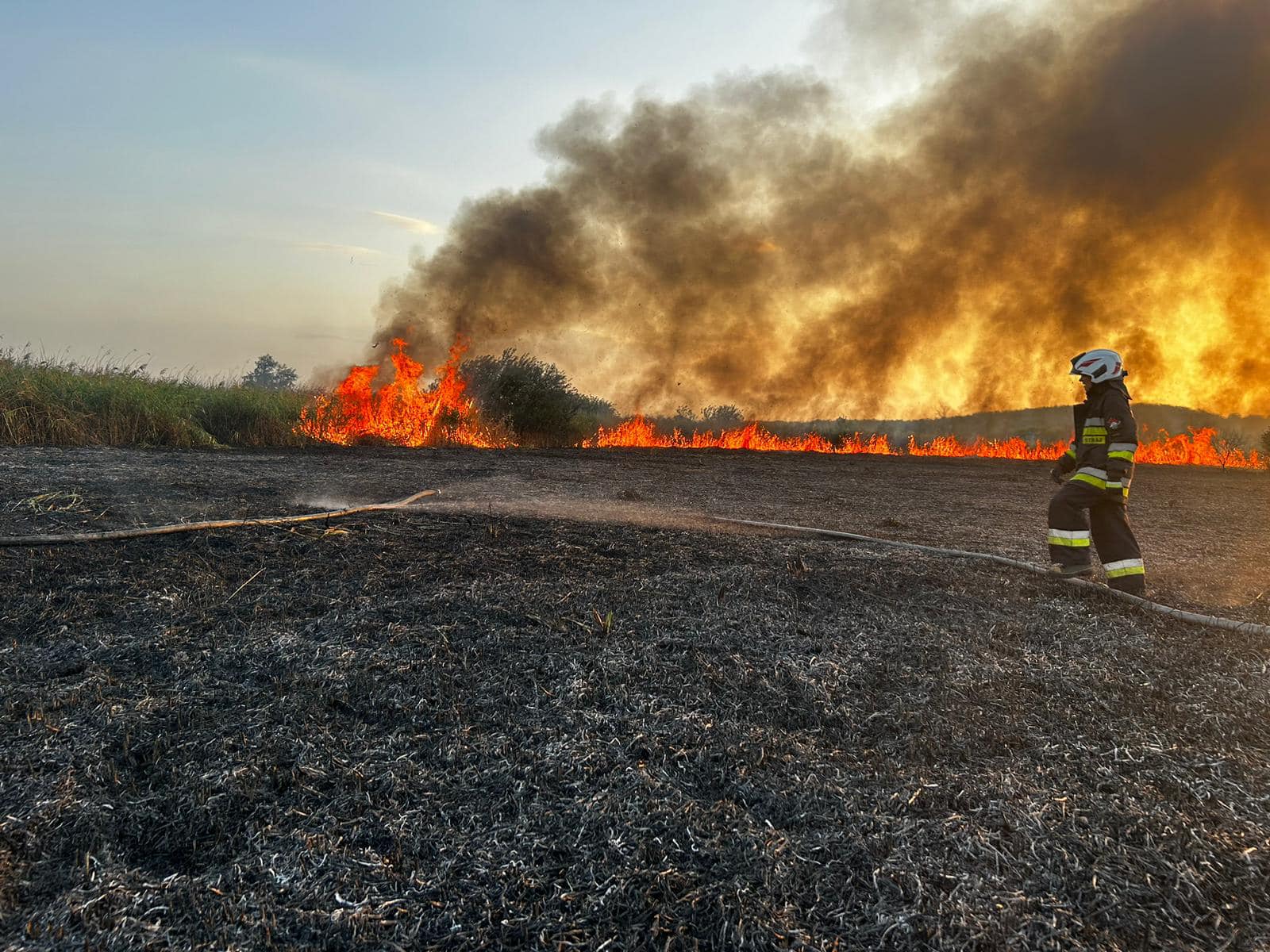 Stop wypalaniu traw! Będzie wysoka grzywna, areszt a nawet więzienie